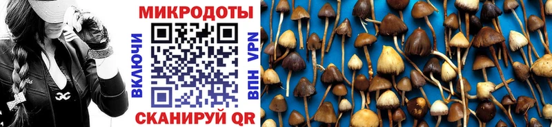 Галлюциногенные грибы Cubensis  kraken зеркало  Буй  дарнет шоп 